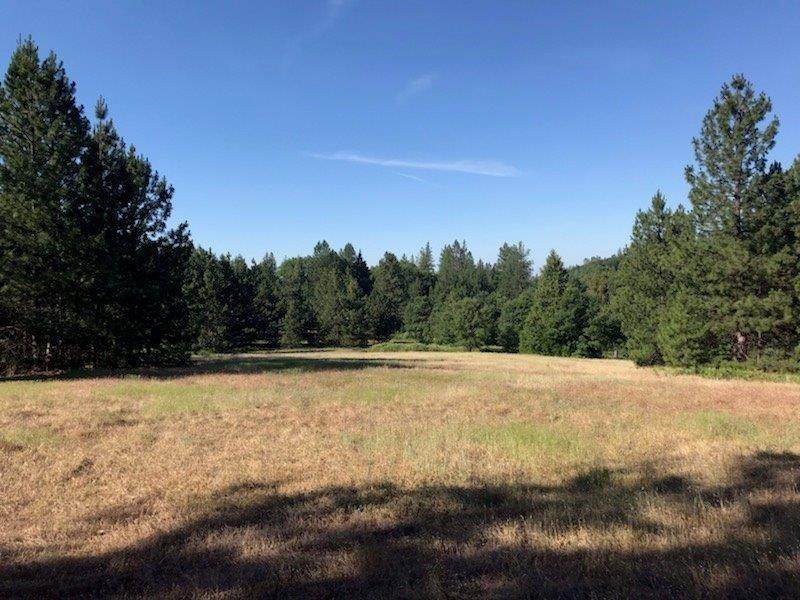 0 Hwy 50 - Photo 1