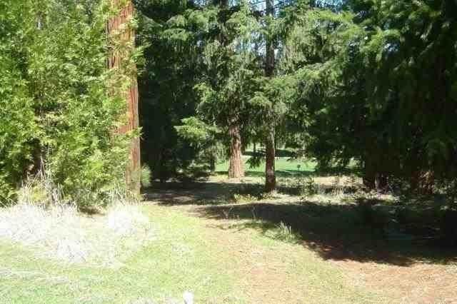 26441 Golf Links Drive - Photo 1