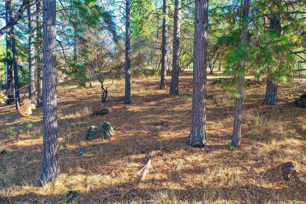 18885 Norlene Way - Photo 1