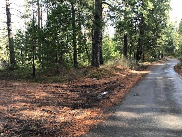 4071 Volcanoville Road - Photo 1