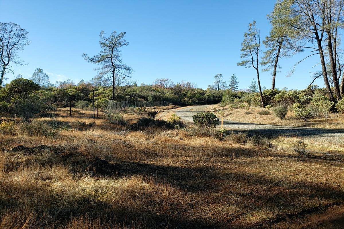 9022 Amoruso Lane - Photo 1
