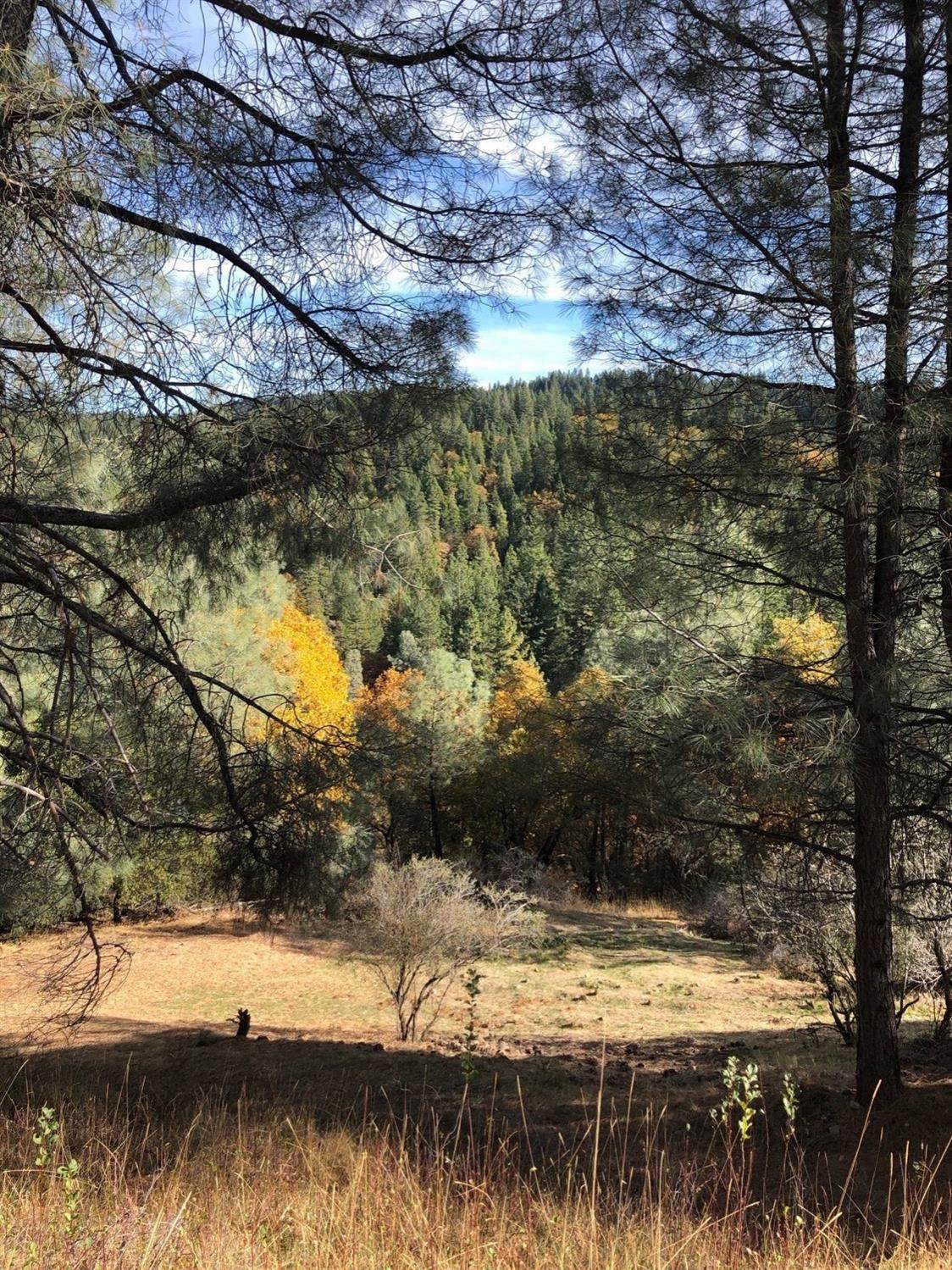 5371 Five Spot Rd - Photo 1