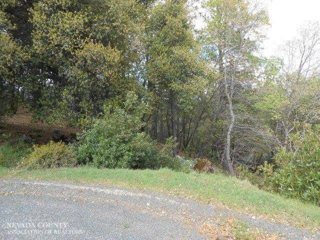 16718 Lena Court - Photo 1