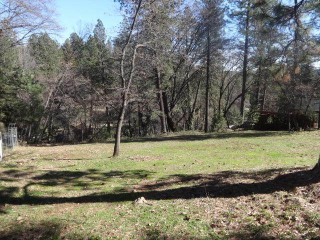 10511 Bragg Avenue - Photo 1
