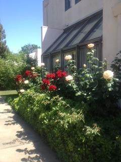 909 Alvarado Avenue - Photo 1