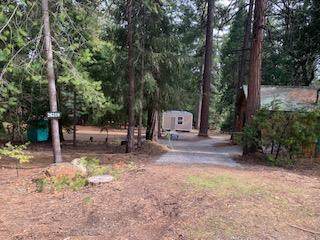 26310 Shake Ridge Road - Photo 1