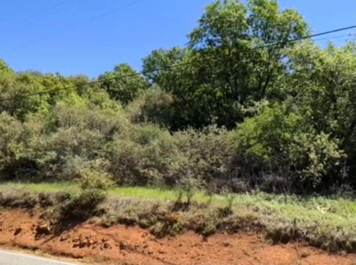 21911 Dog Bar Road - Photo 1