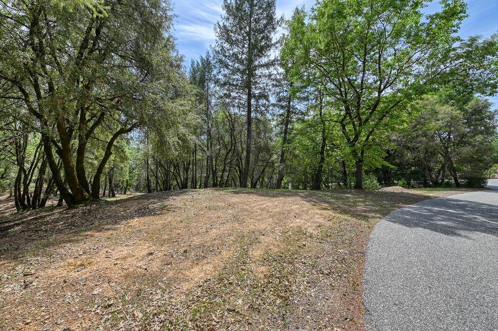 2 Forest Lake Place - Photo 1