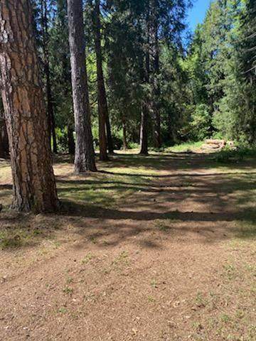 13397 Gracie Road - Photo 1