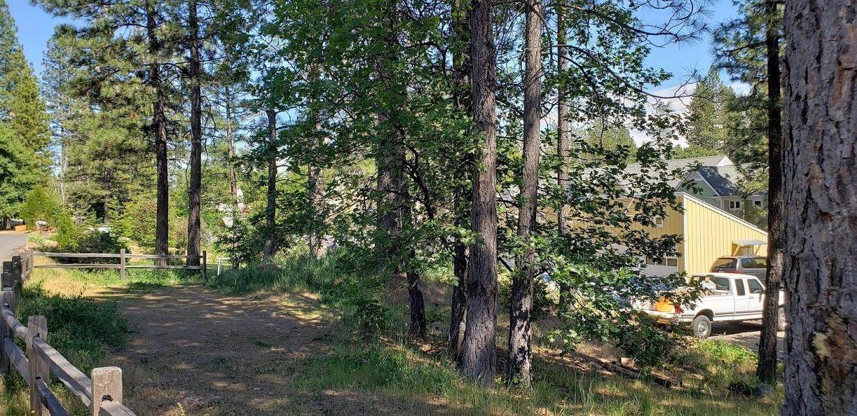 110 Redbud - Photo 1