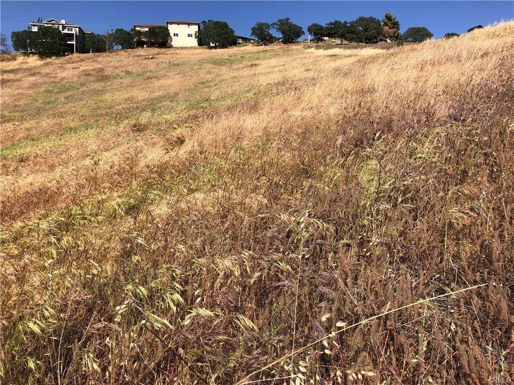 9173 Banderilla Drive - Photo 1