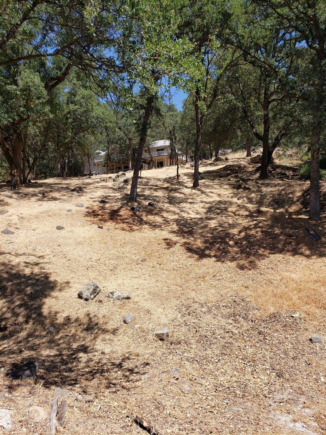 13843 Sun Forest Drive - Photo 1