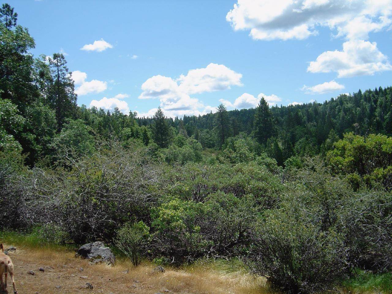 0 Spirit Lane - Photo 1