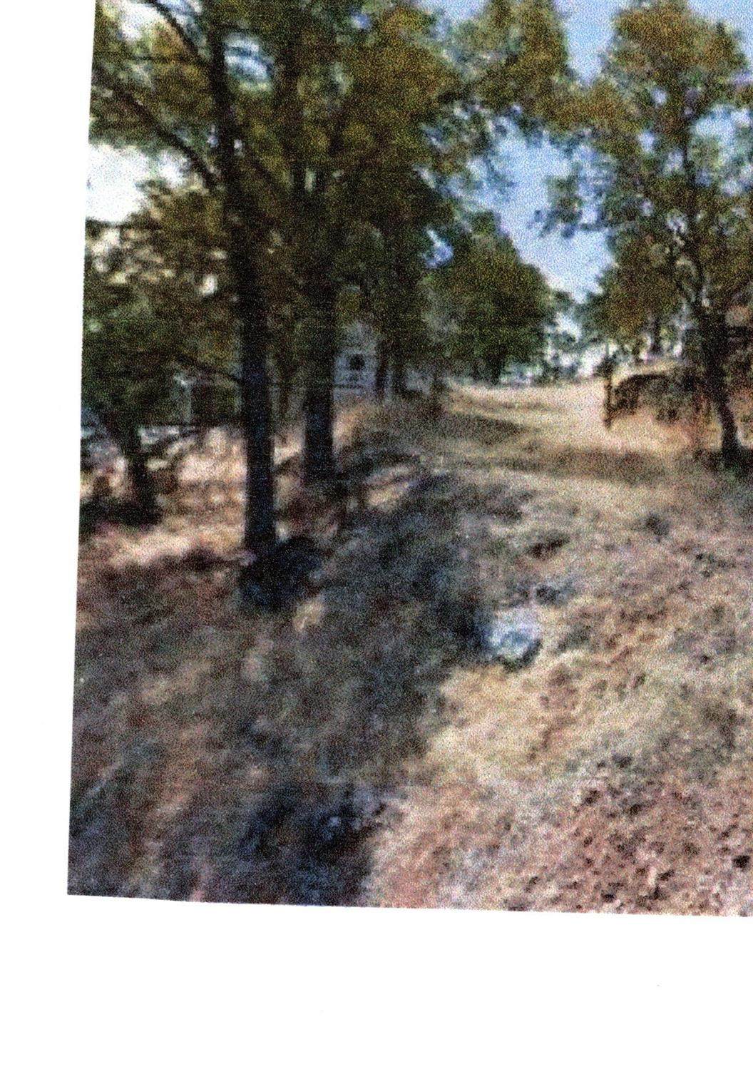 4442 Dunn Road - Photo 1