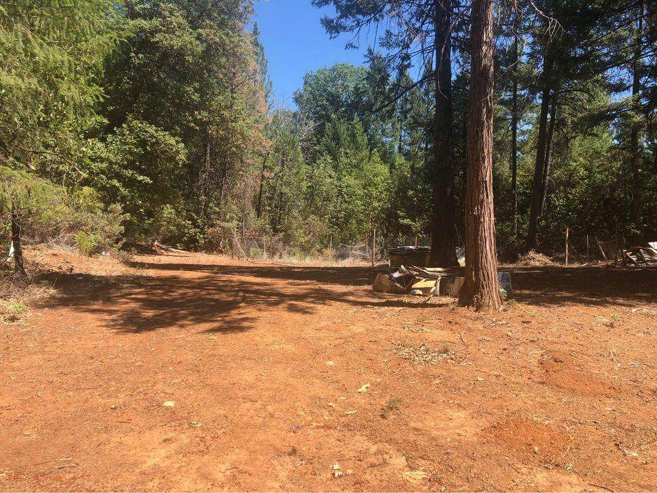 3461 Mosswood Road - Photo 1