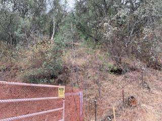 5600 Forgotton Loop - Photo 1