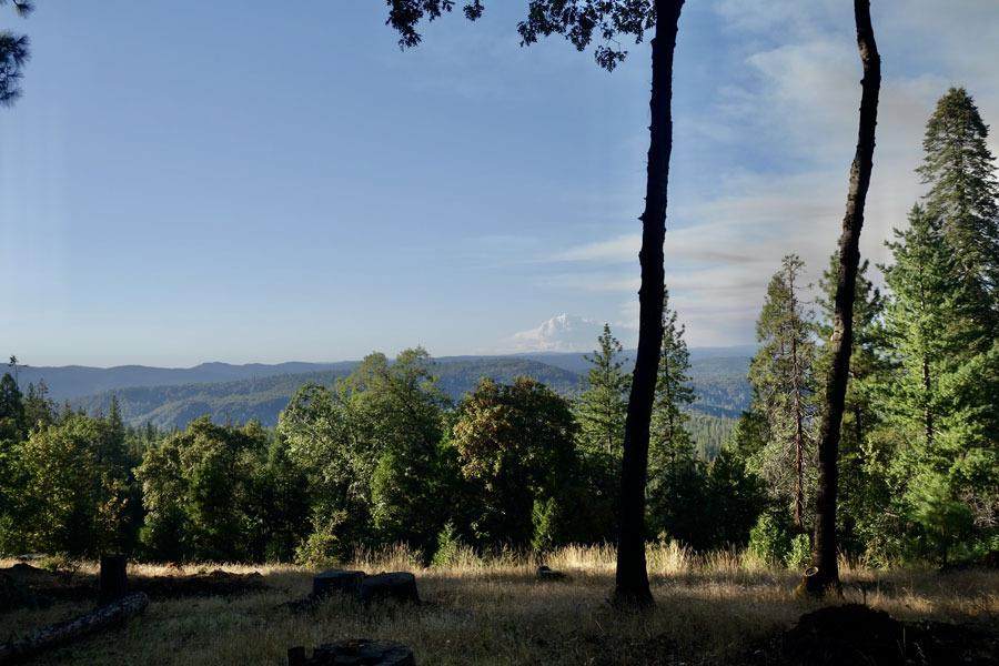 11986 Cement Hill Road - Photo 1