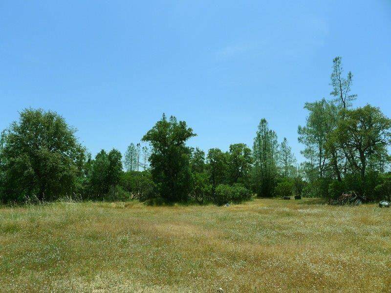 13819 Mcmenamin Way - Photo 1