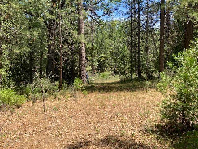 4801 Coyoteville - Photo 1