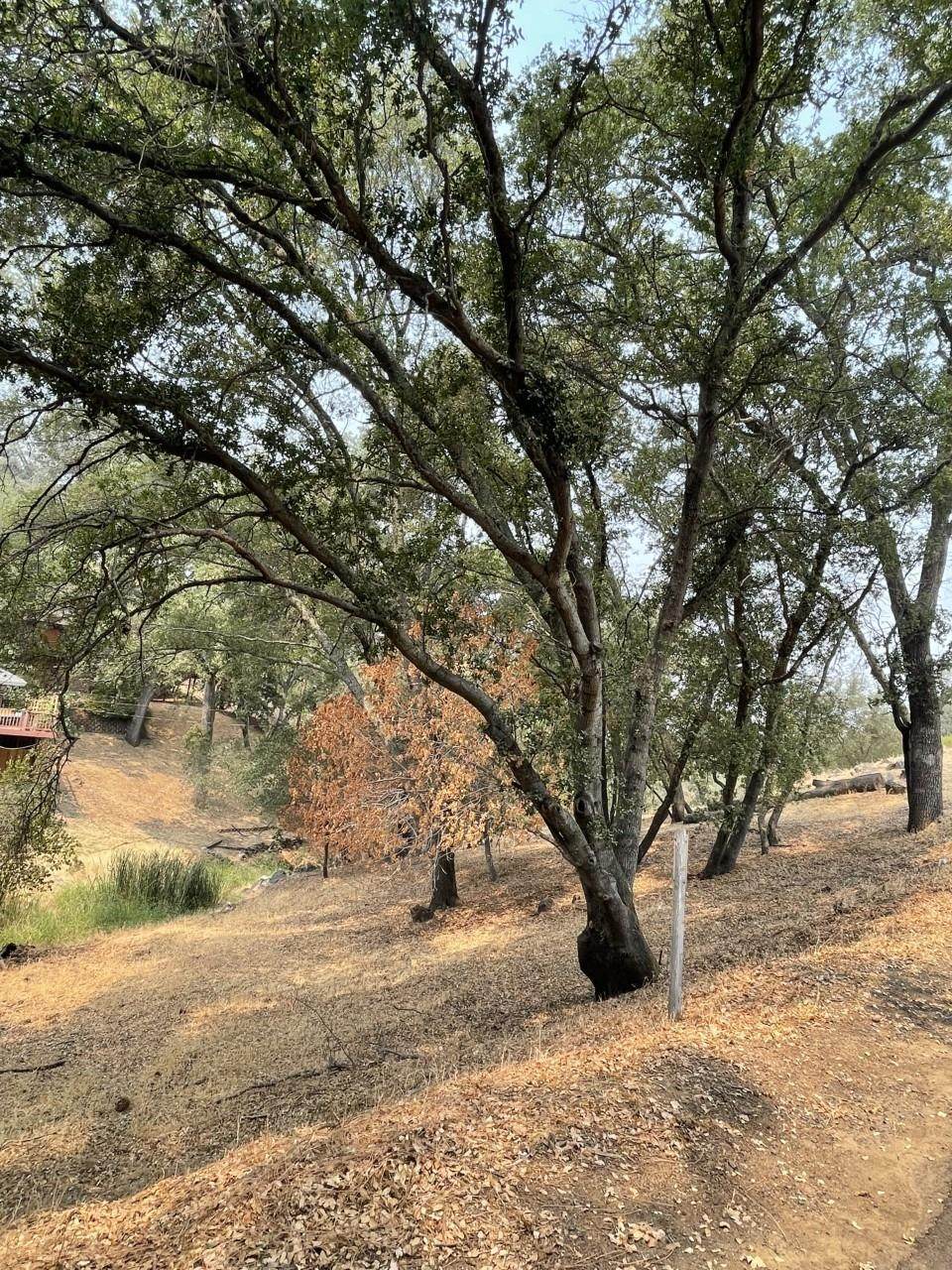 651 Encina Drive - Photo 1