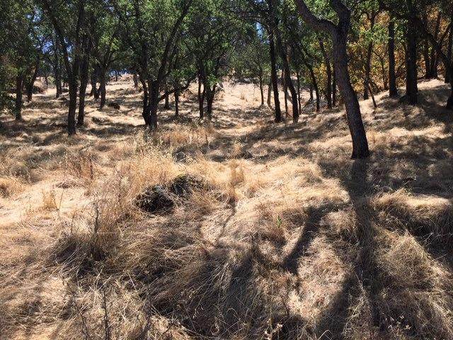 3265 Botfuher Road - Photo 1