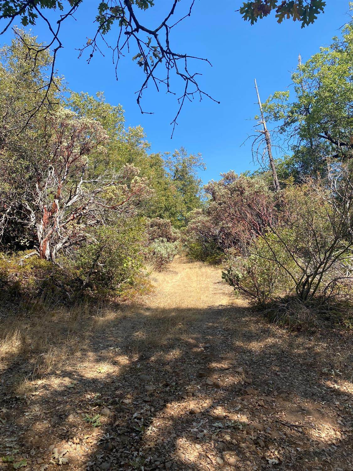 15555 Buckeye Ridge Rd - Photo 1