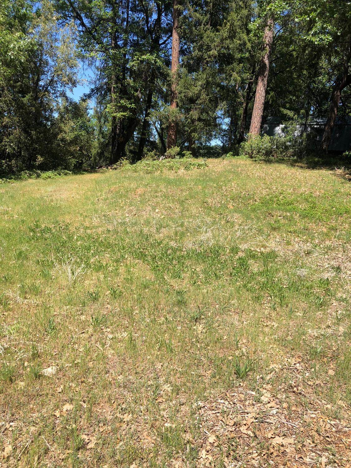 22501 Bootstap Way - Photo 1