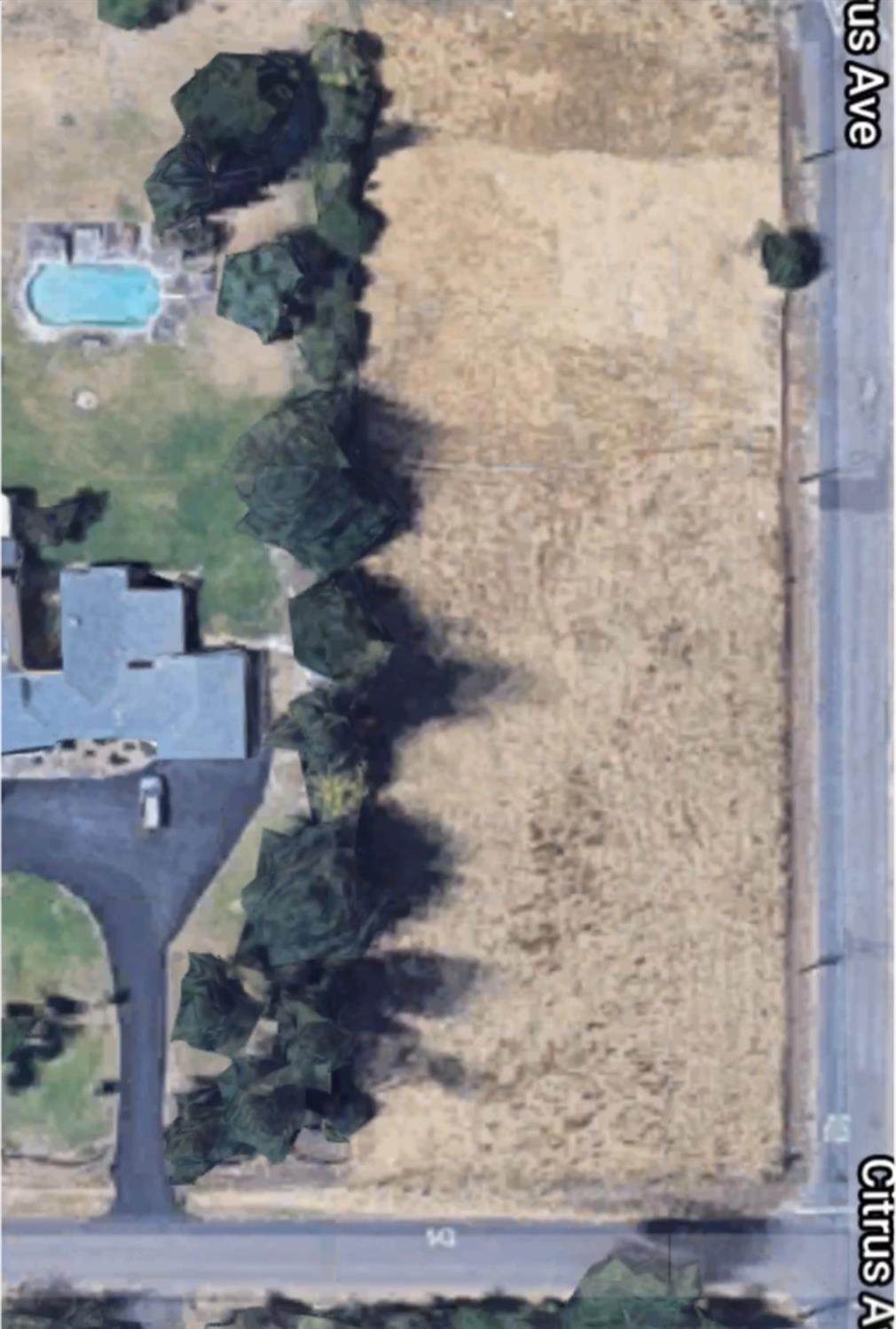 0 Citrus Avenue - Photo 1