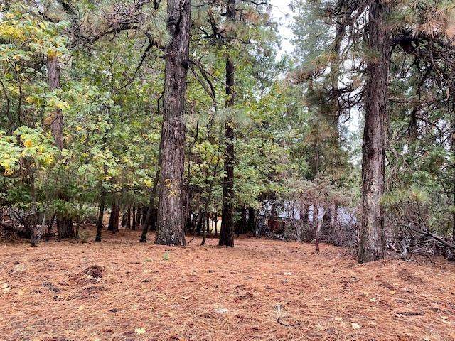 5480 Daisy Drive - Photo 1