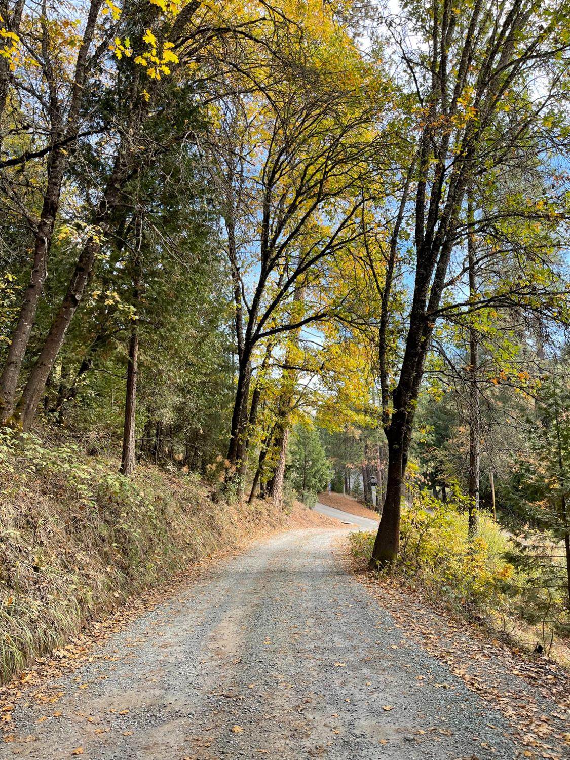 0 Mitchell Mine Road - Photo 1