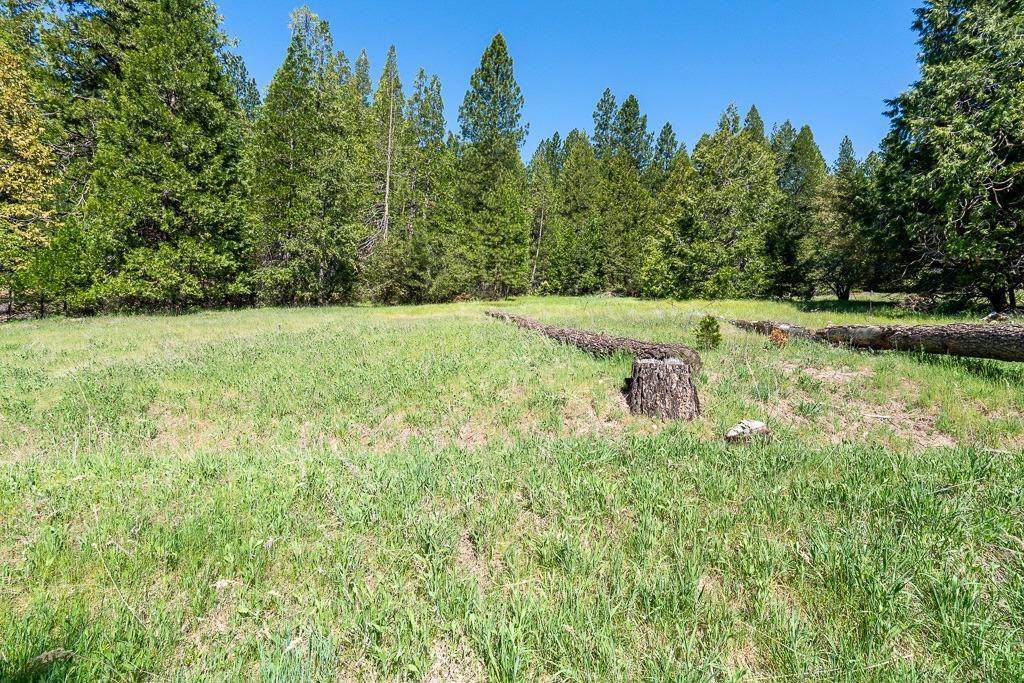 19508 Ponderosa Drive - Photo 1