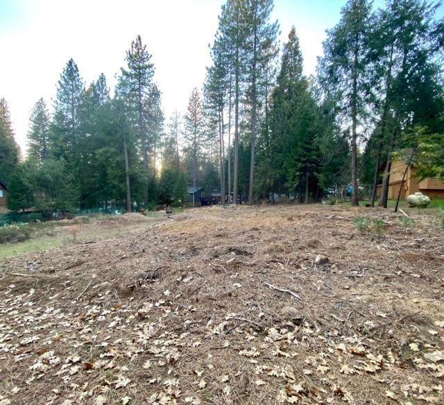 23882 Meadow Crest Drive - Photo 1