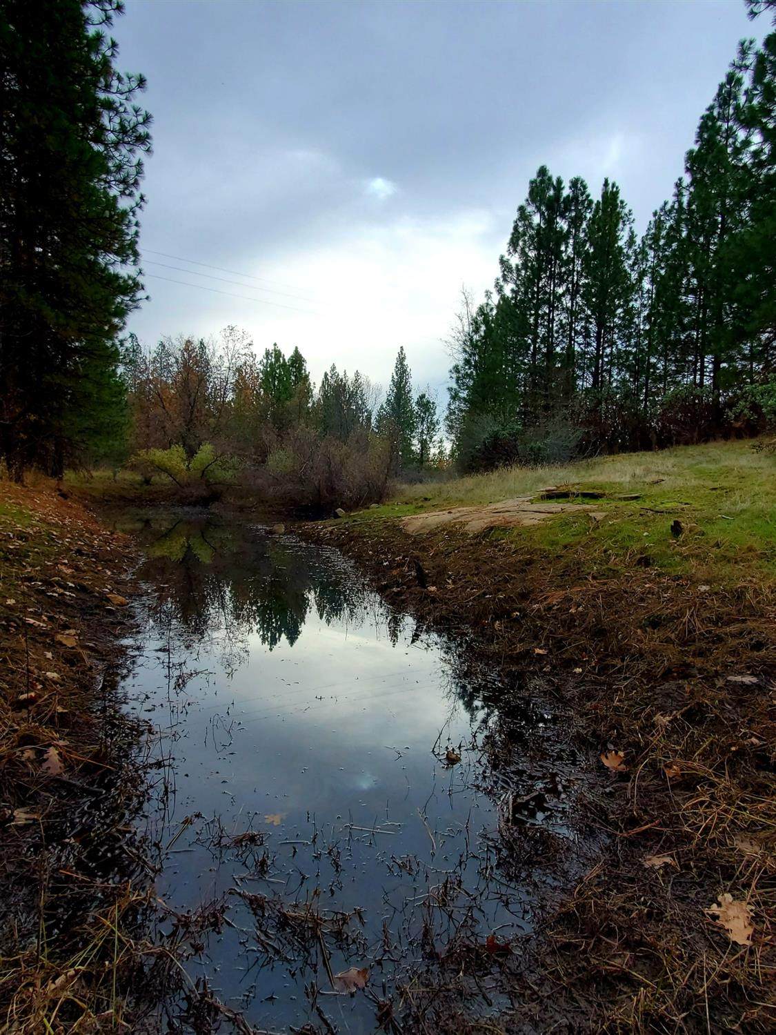 1 Centennial Mine Rd - Photo 1