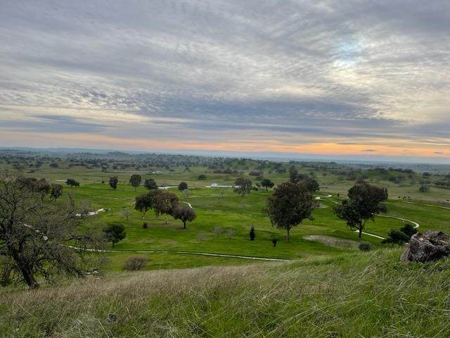 9769 Caracol Circle - Photo 1