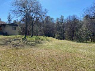 0 Cedar Pines - Photo 1