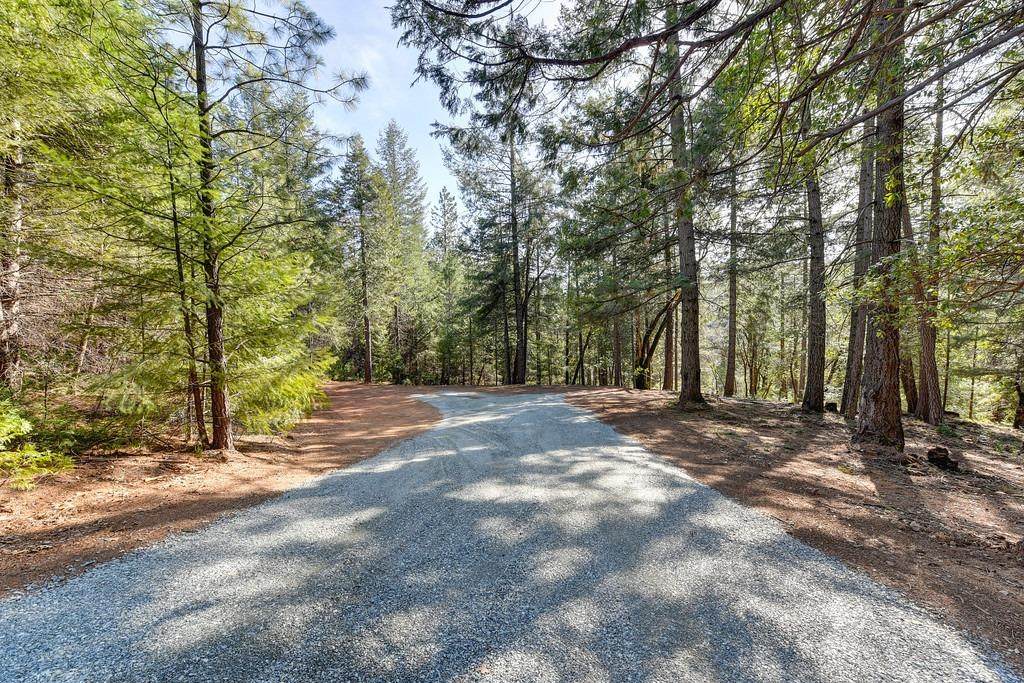 5 Buffalo Hill Court - Photo 1
