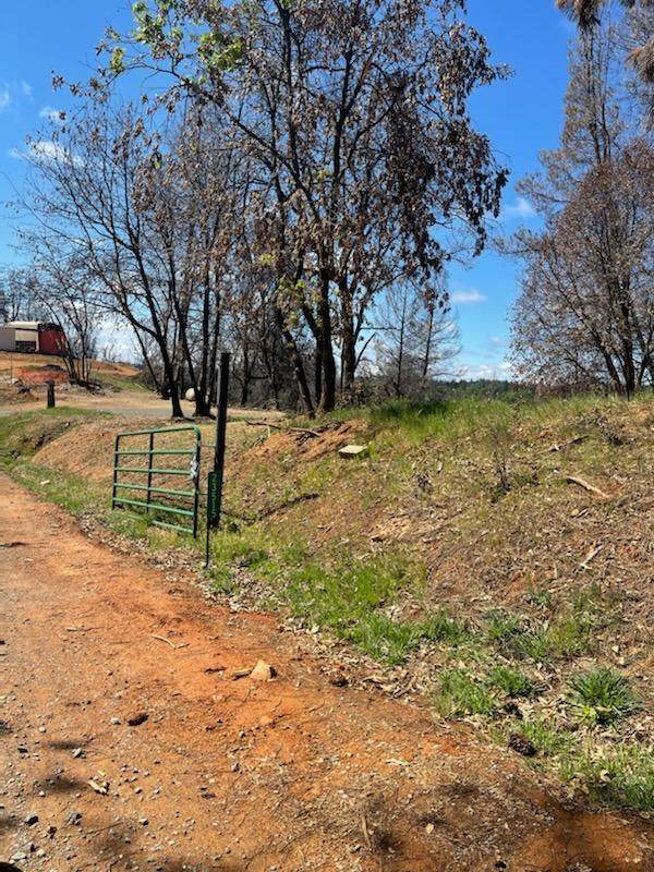 23515 Spring Valley Road - Photo 1