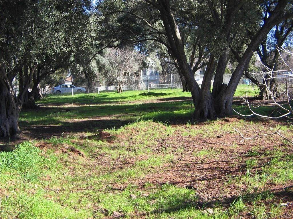 0 Myers St - Photo 1