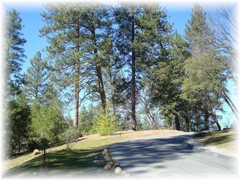 0 Plumtree Road - Photo 1