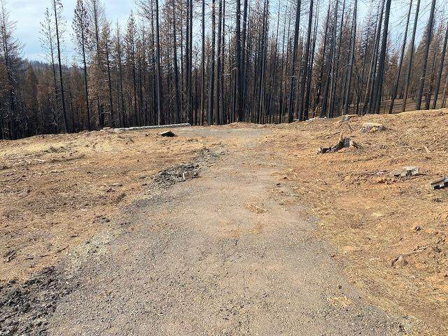 10042 Grizzly Flat Road - Photo 1