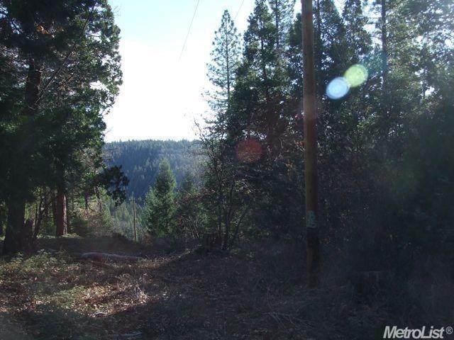 0 Culberson Road - Photo 1