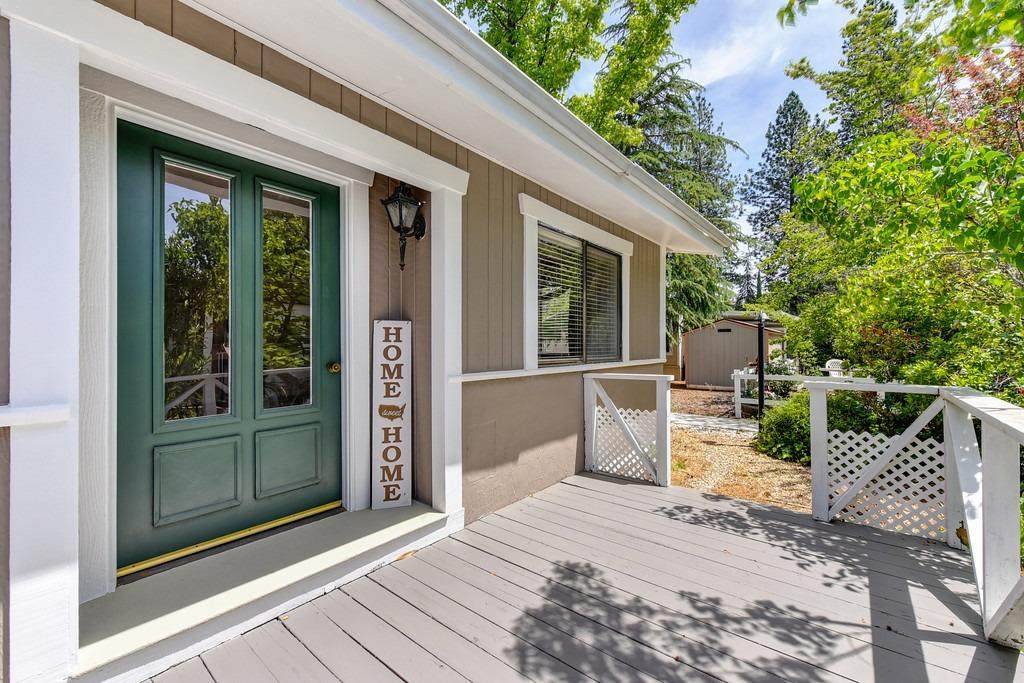10113 Daisy King Drive - Photo 1