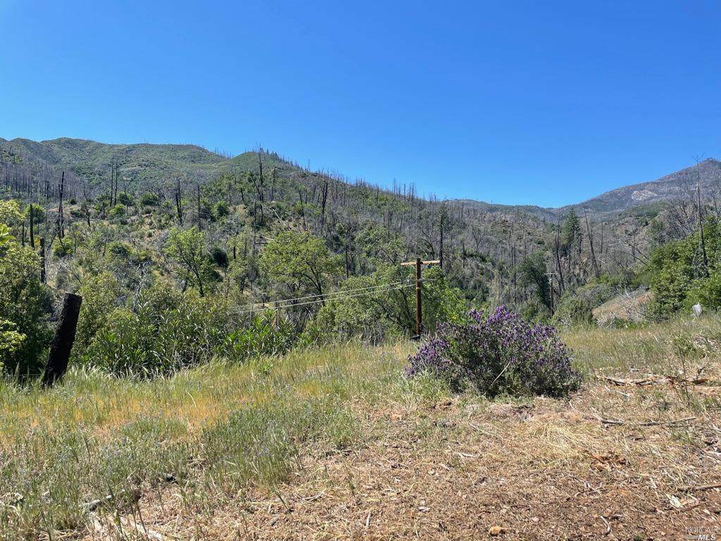 11050 Van Dorn Reservoir Road - Photo 1