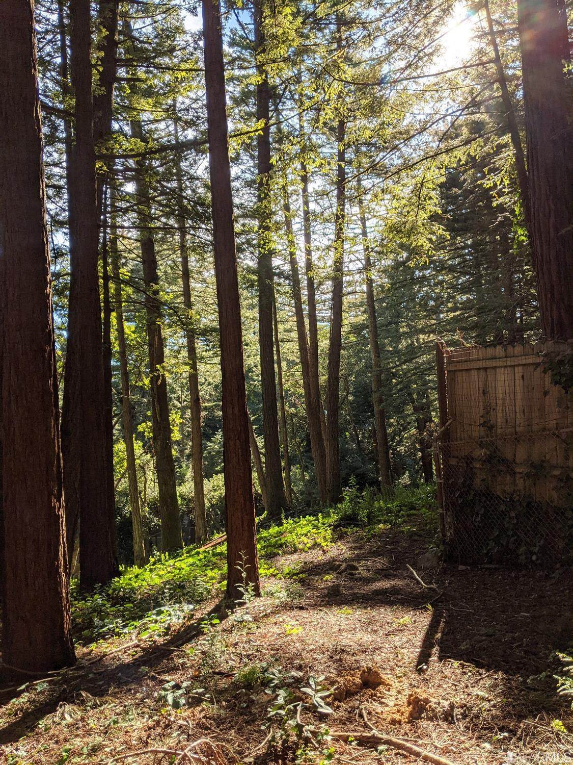 0 Huckleberry Trail - Photo 1