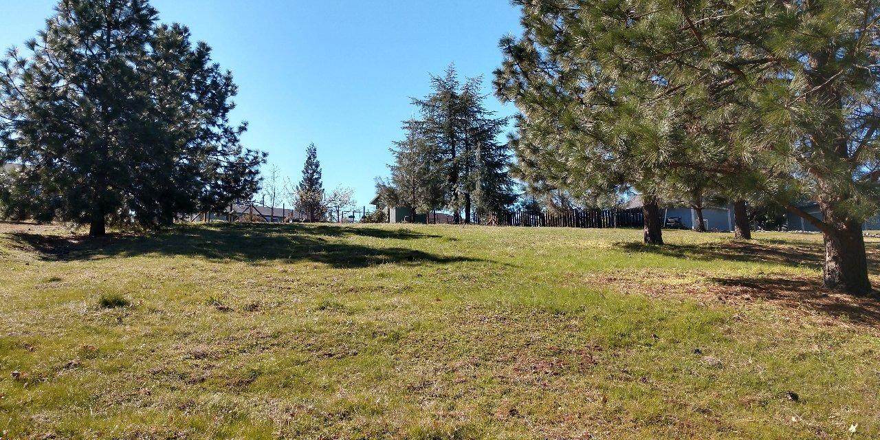 0 Lion Creeks Court - Photo 1