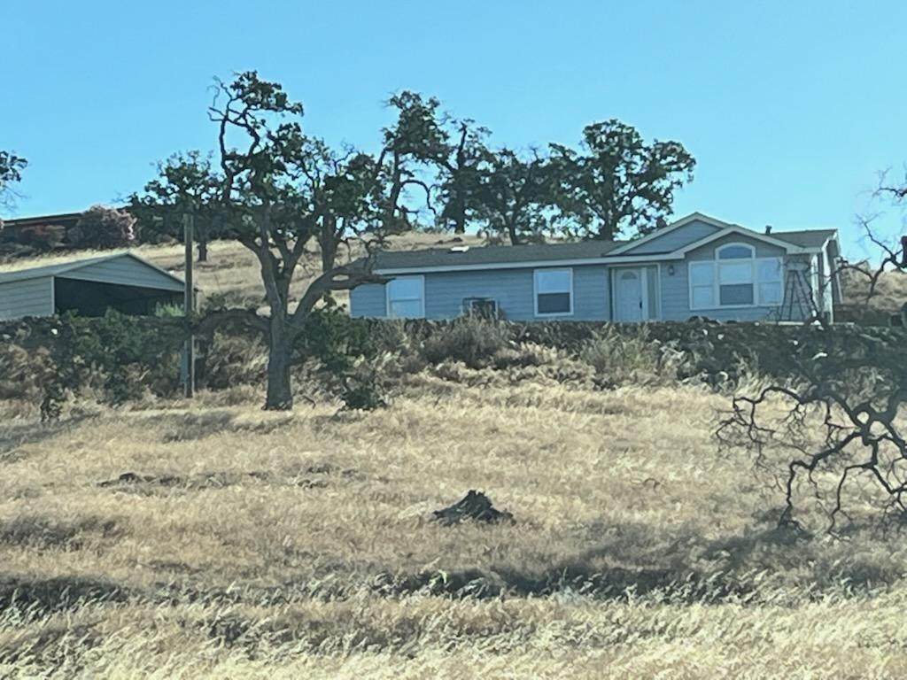 9914 Hernandez Drive - Photo 1
