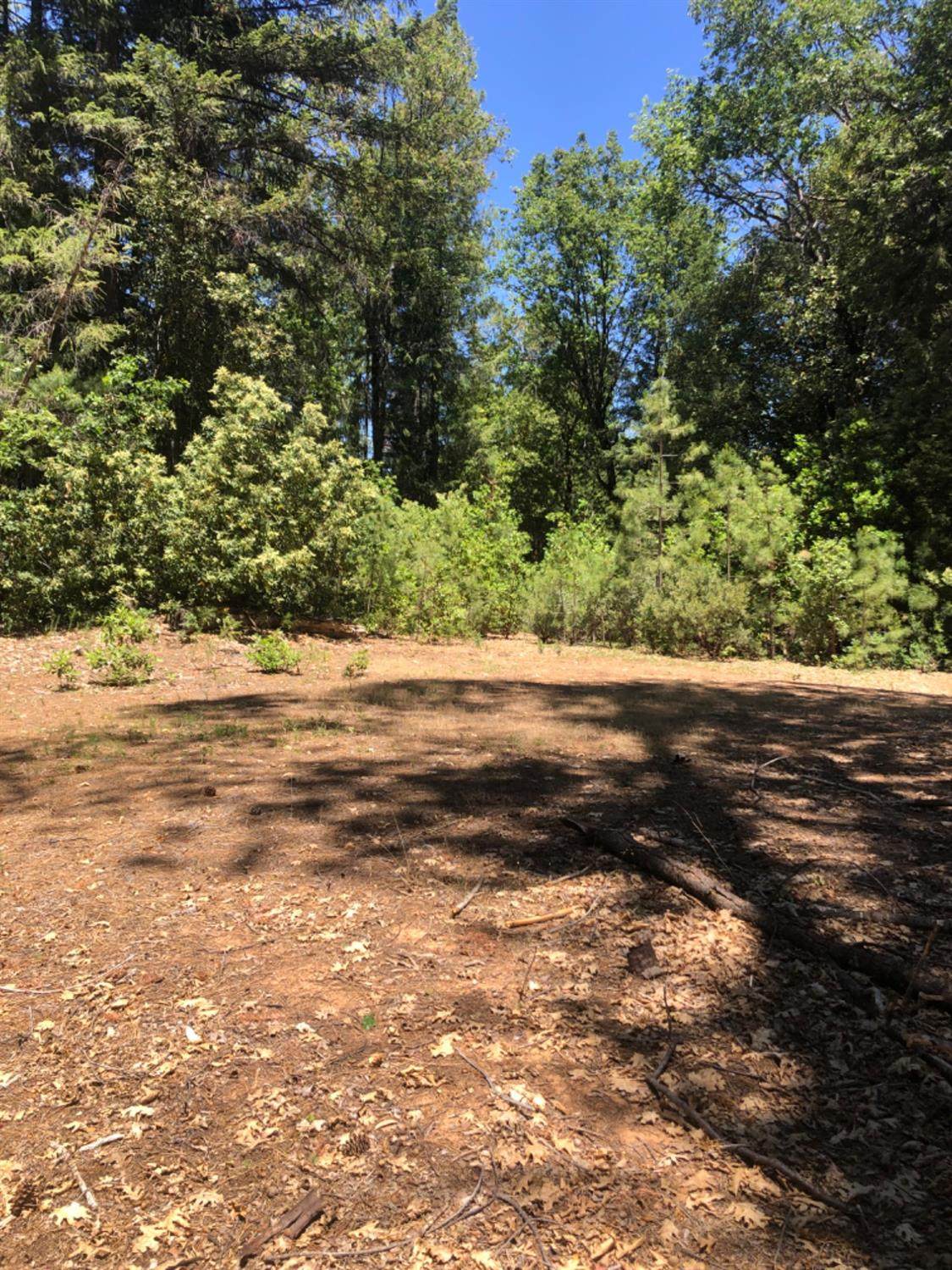 0 Ringtail Rd - Photo 1