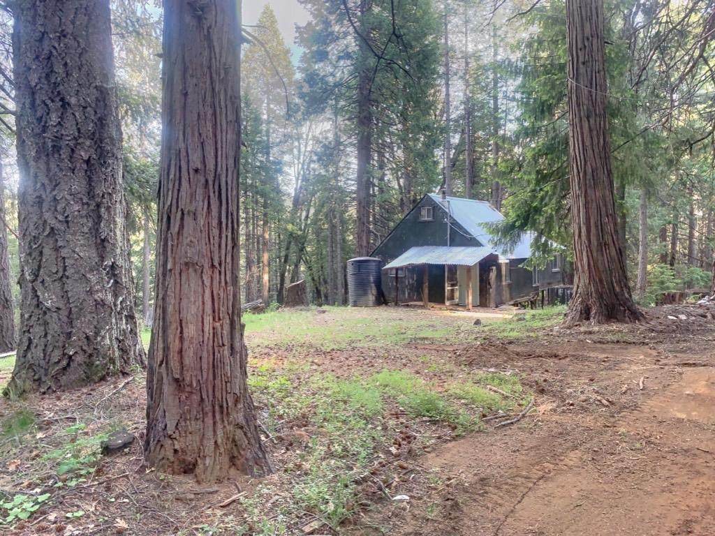 11325 Valencia Road - Photo 1