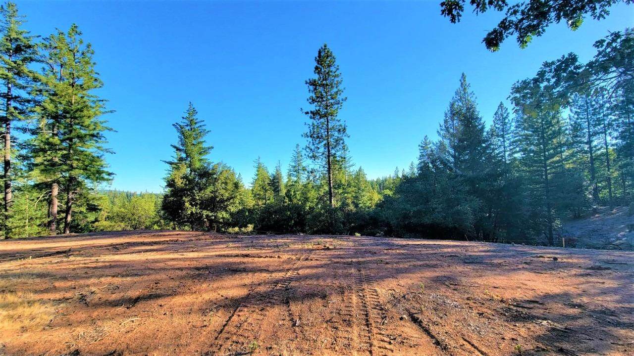 15606 Kitkitdizze Drive - Photo 1