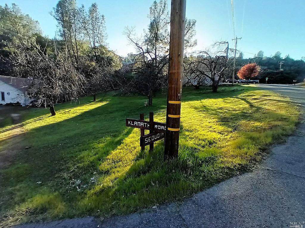 9815 Sequoia Road - Photo 1